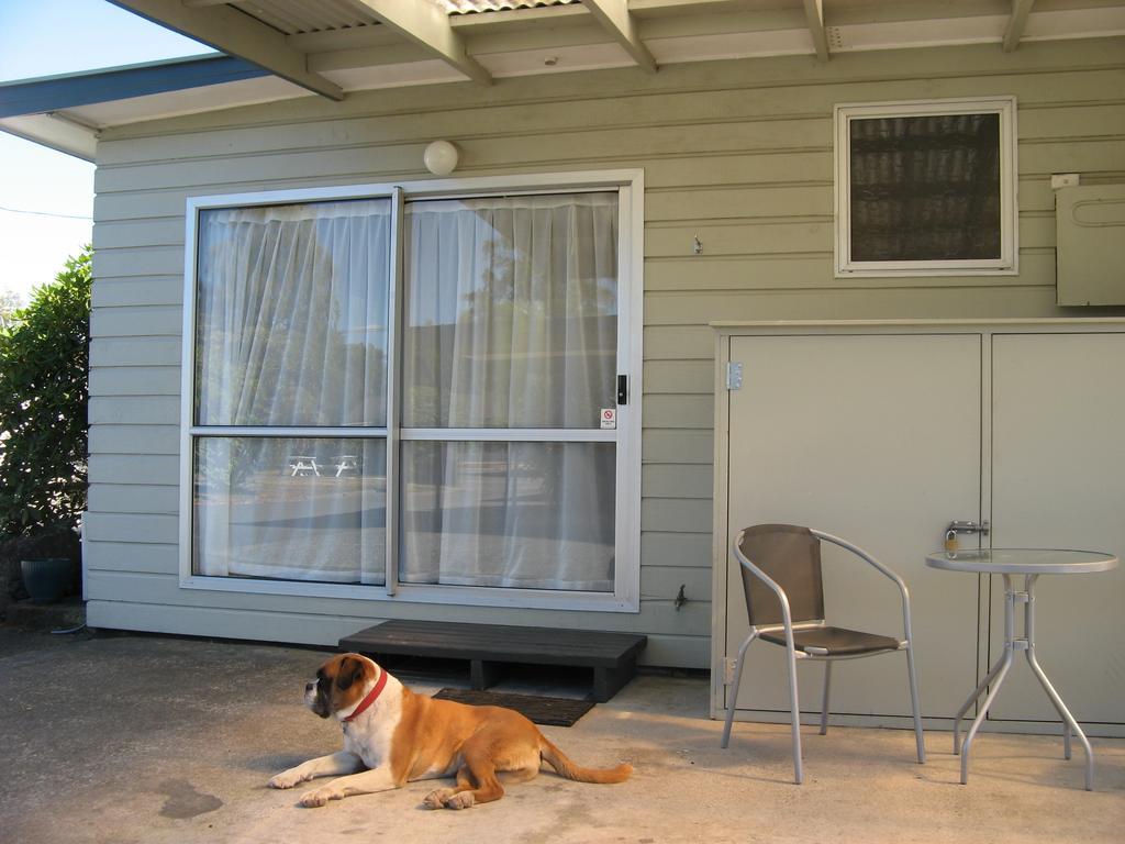 Tongariro River Motel Turangi Room photo